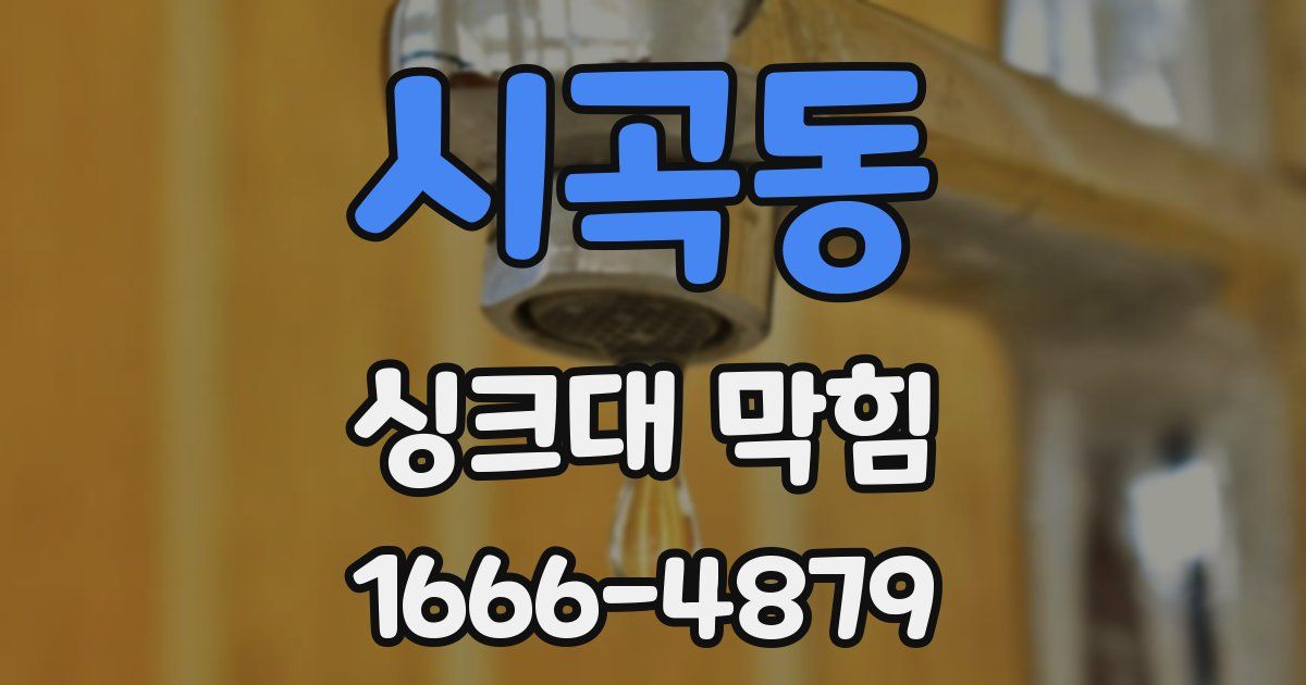 시곡동 싱크대 막힘