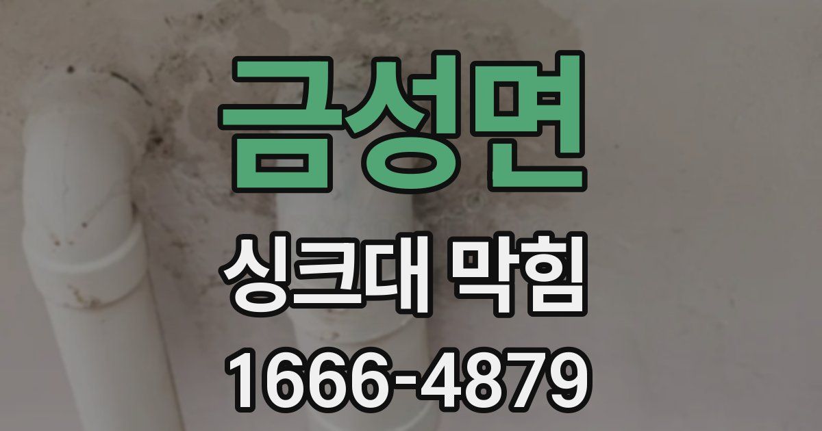 금성면 싱크대 막힘