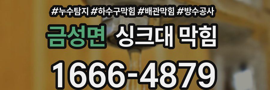 금성면 싱크대 막힘