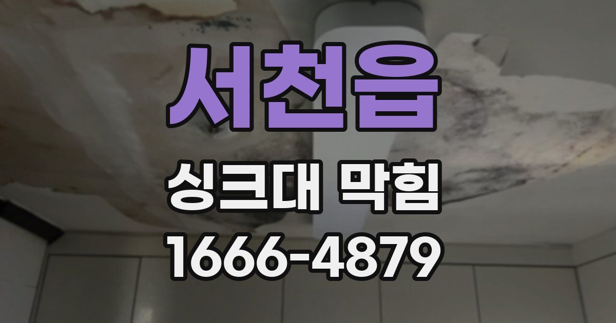 서천읍 싱크대 막힘