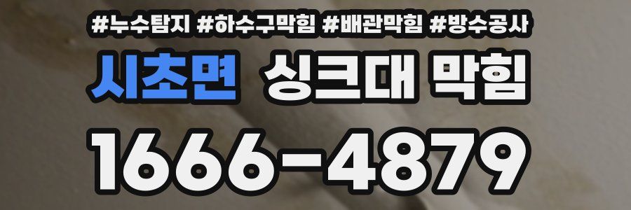 시초면 싱크대 막힘