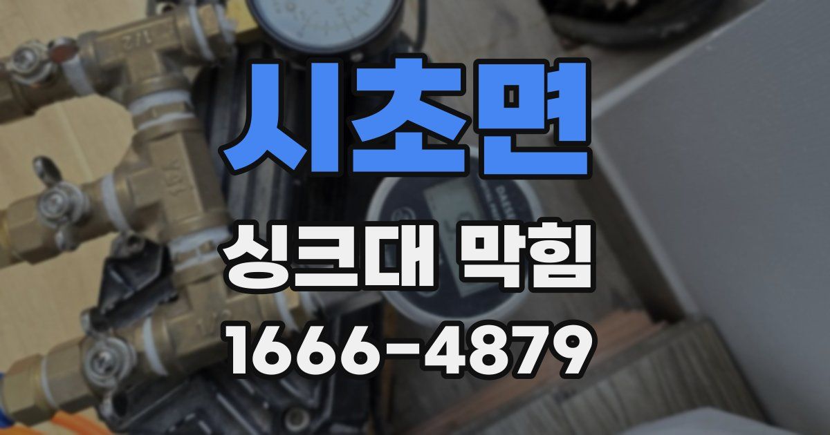 시초면 싱크대 막힘