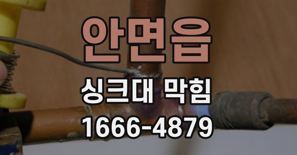 안면읍 싱크대 막힘