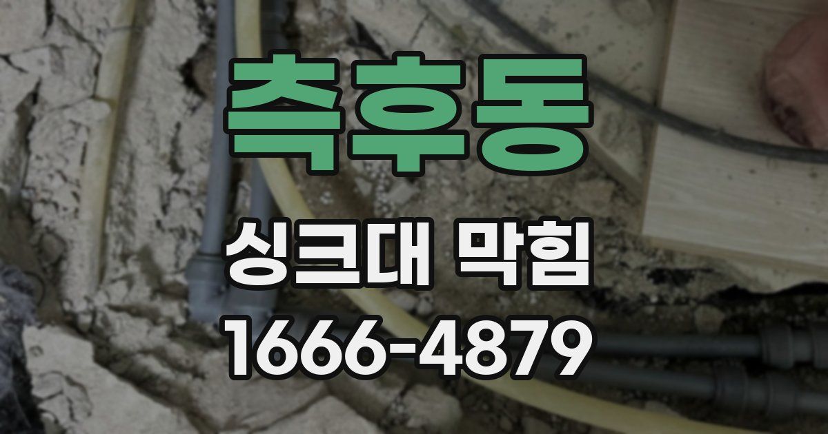 측후동 싱크대 막힘