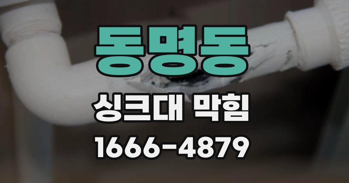 동명동 싱크대 막힘