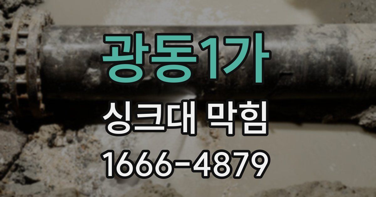 광동1가 싱크대 막힘