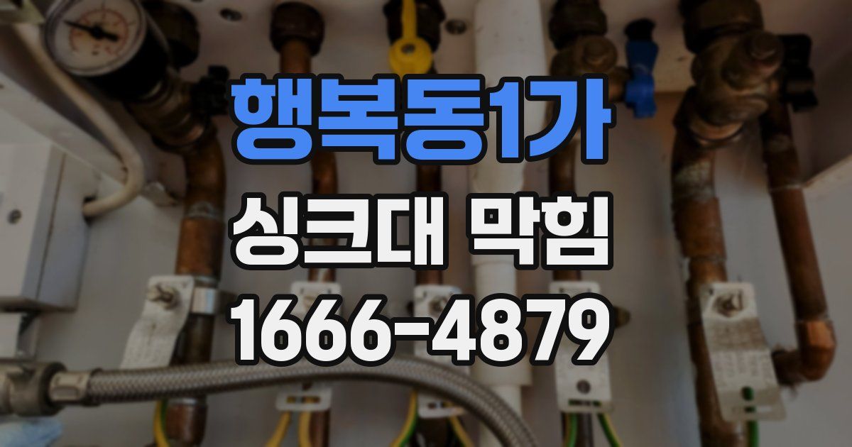 행복동1가 싱크대 막힘