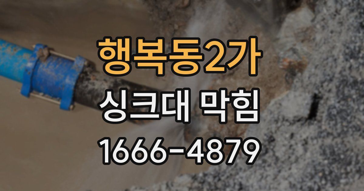 행복동2가 싱크대 막힘