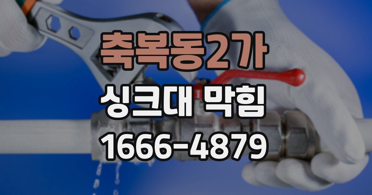 축복동2가 싱크대 막힘