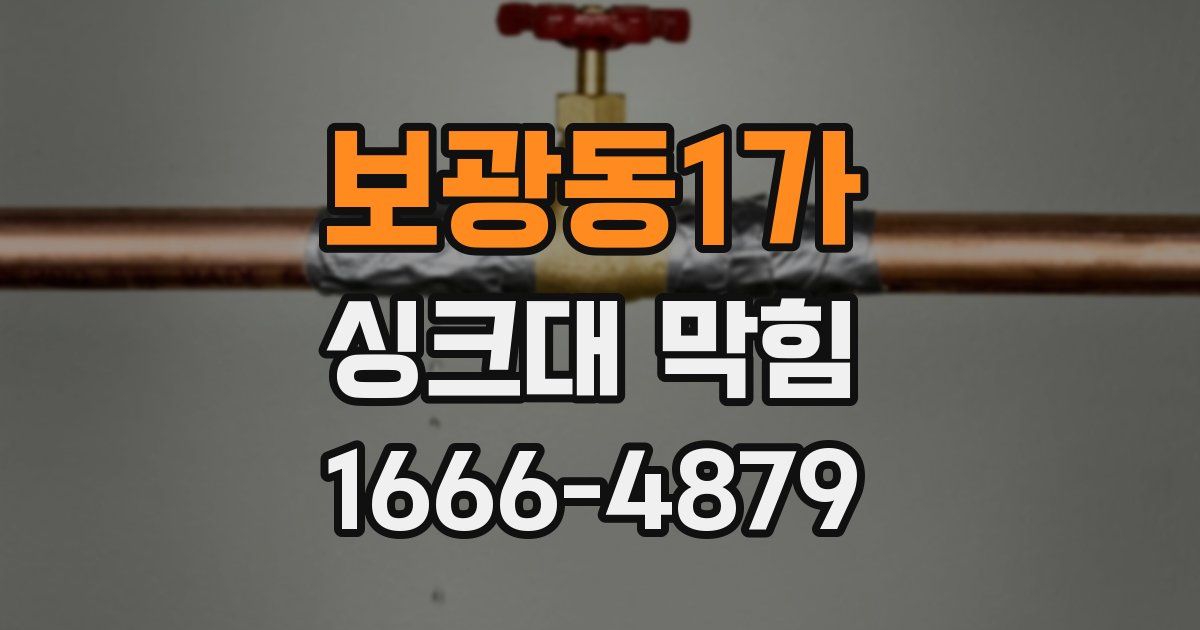 보광동1가 싱크대 막힘