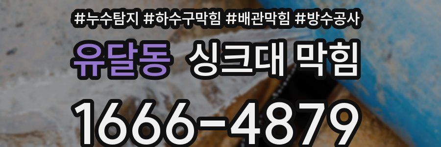 유달동 싱크대 막힘