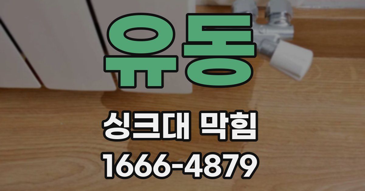 유동 싱크대 막힘