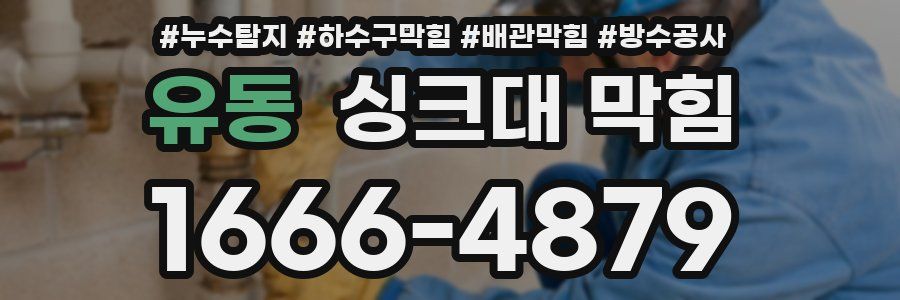 유동 싱크대 막힘