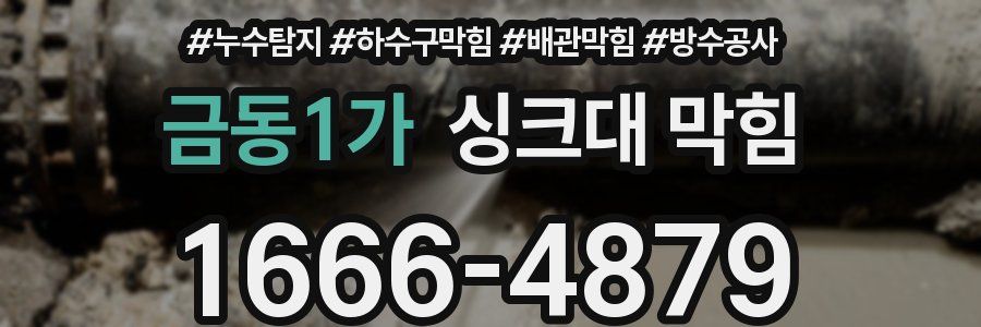 금동1가 싱크대 막힘