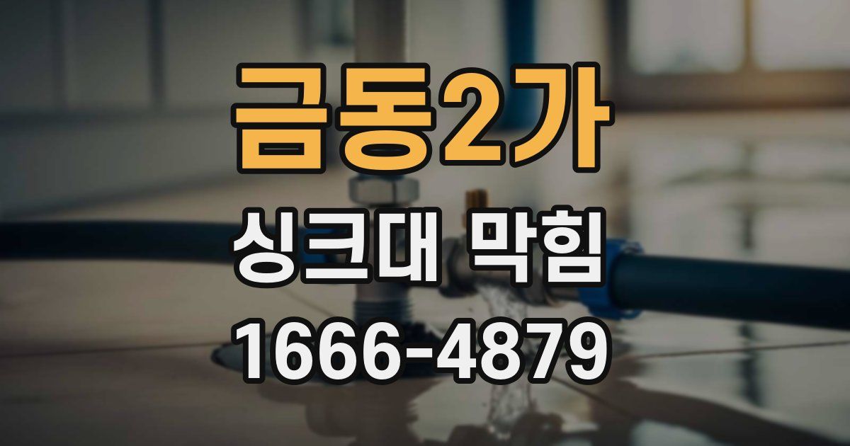 금동2가 싱크대 막힘