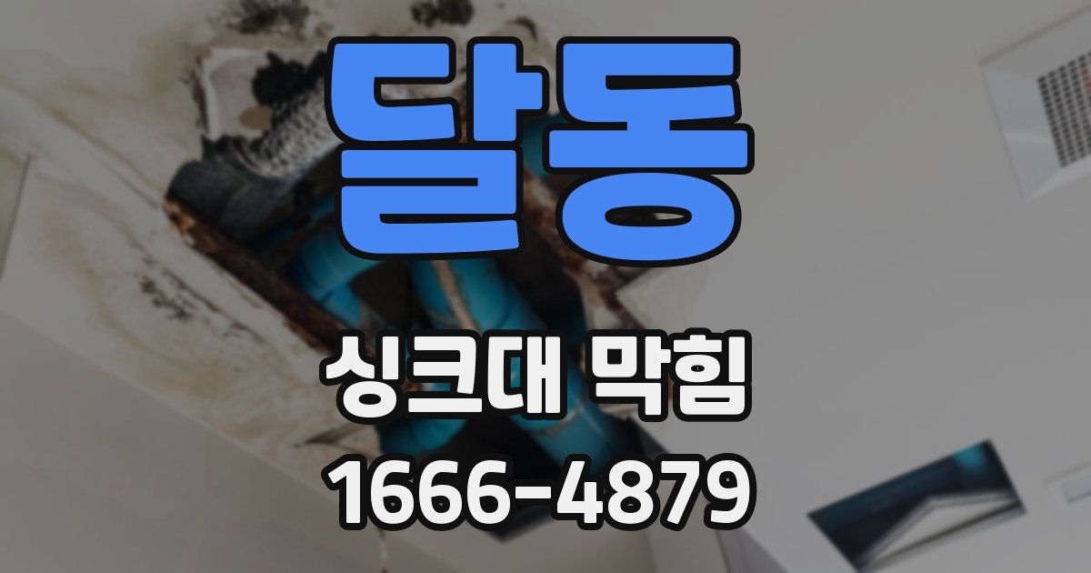 달동 싱크대 막힘