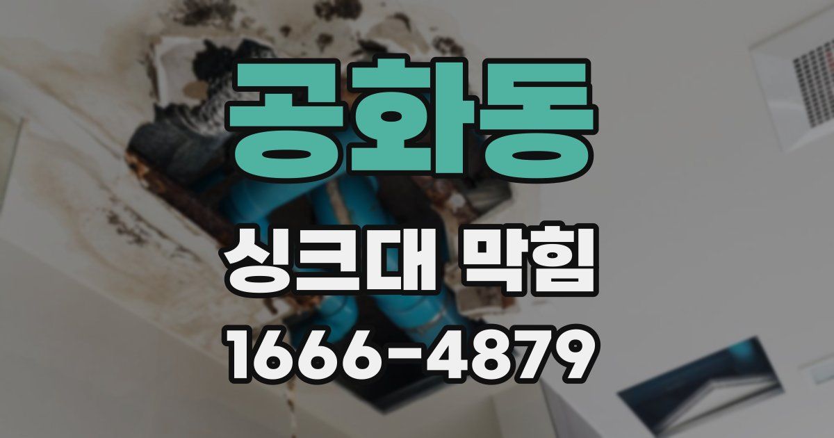 공화동 싱크대 막힘