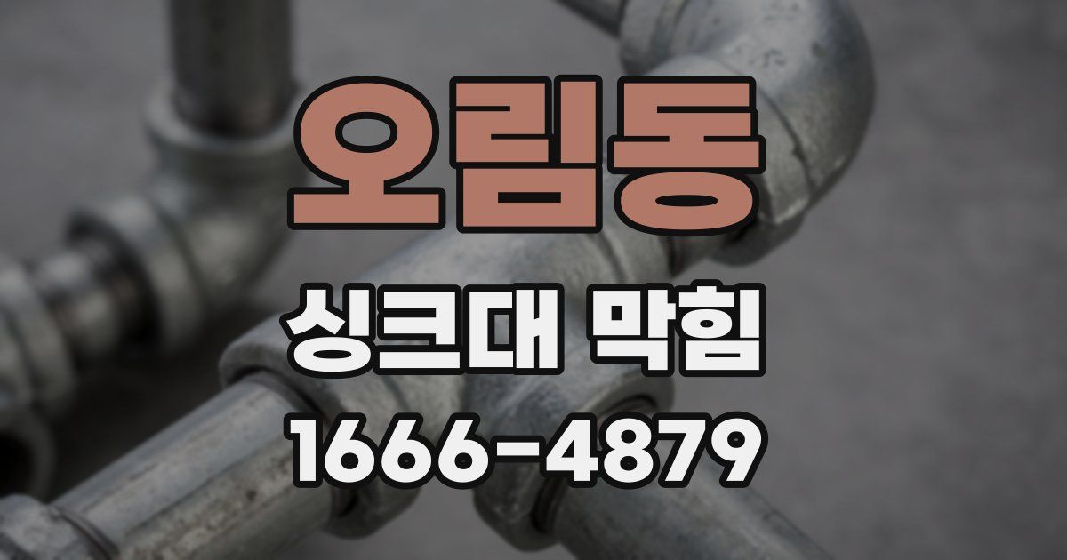 오림동 싱크대 막힘