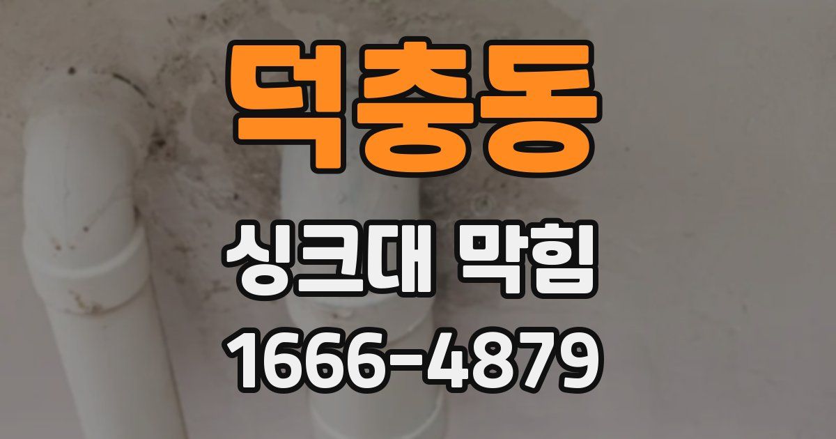 덕충동 싱크대 막힘