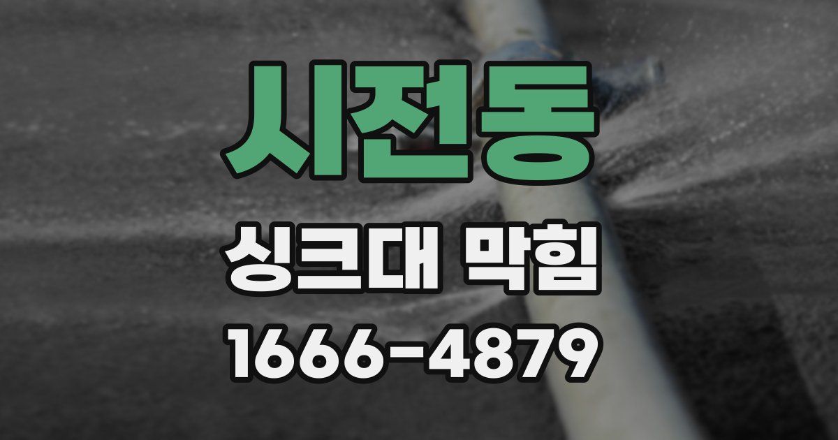 시전동 싱크대 막힘