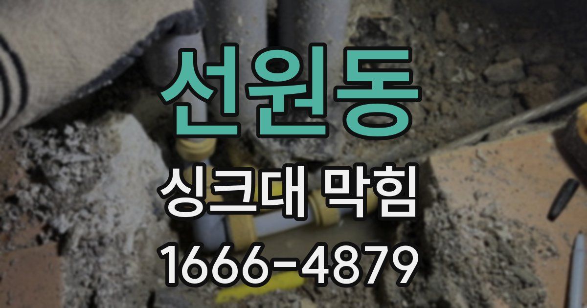 선원동 싱크대 막힘