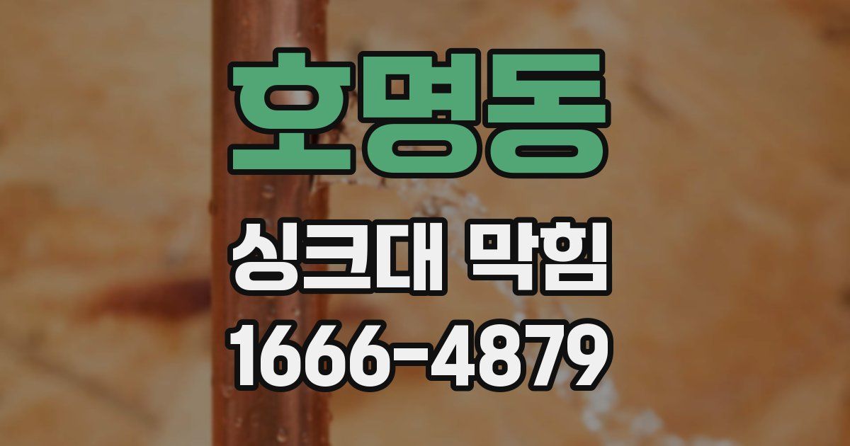 호명동 싱크대 막힘