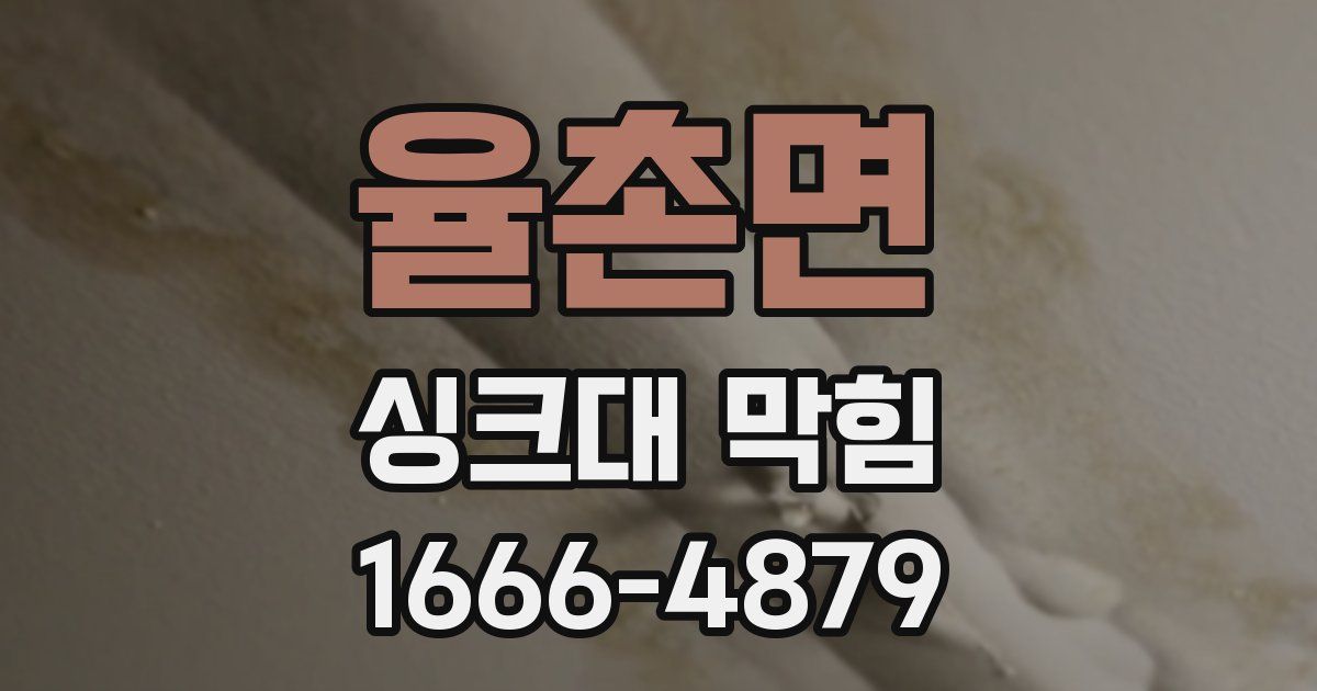 율촌면 싱크대 막힘