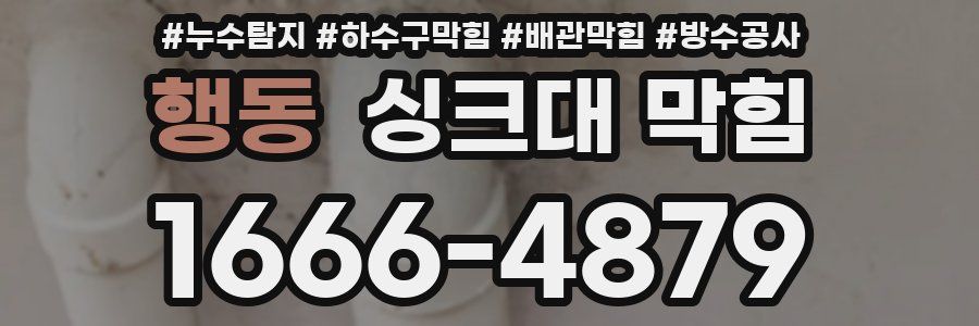 행동 싱크대 막힘