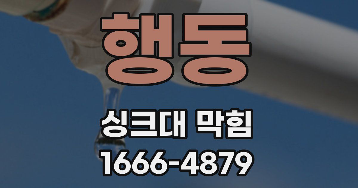 행동 싱크대 막힘