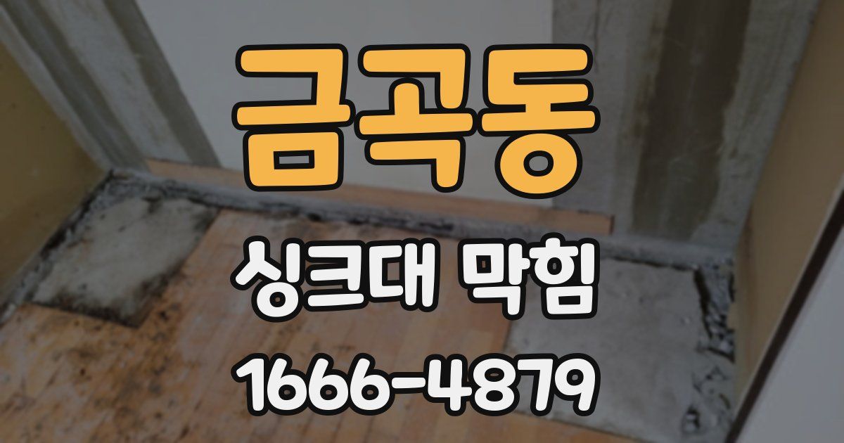 금곡동 싱크대 막힘