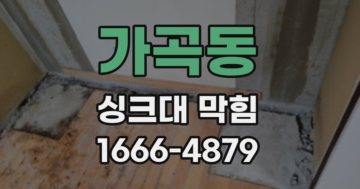 가곡동 싱크대 막힘