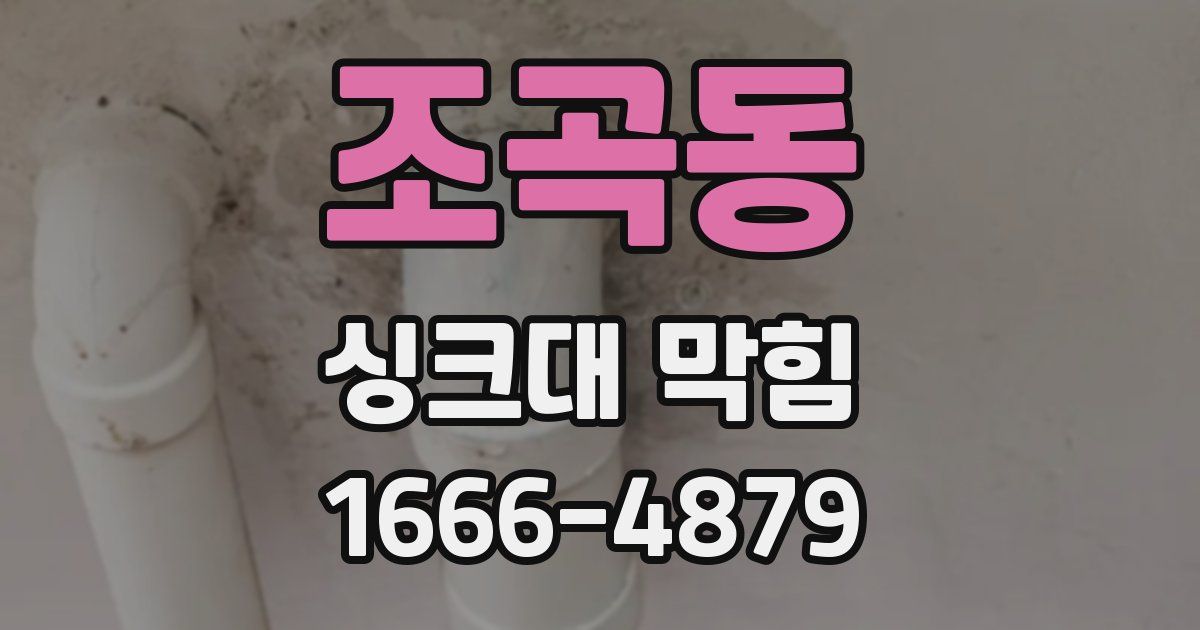 조곡동 싱크대 막힘