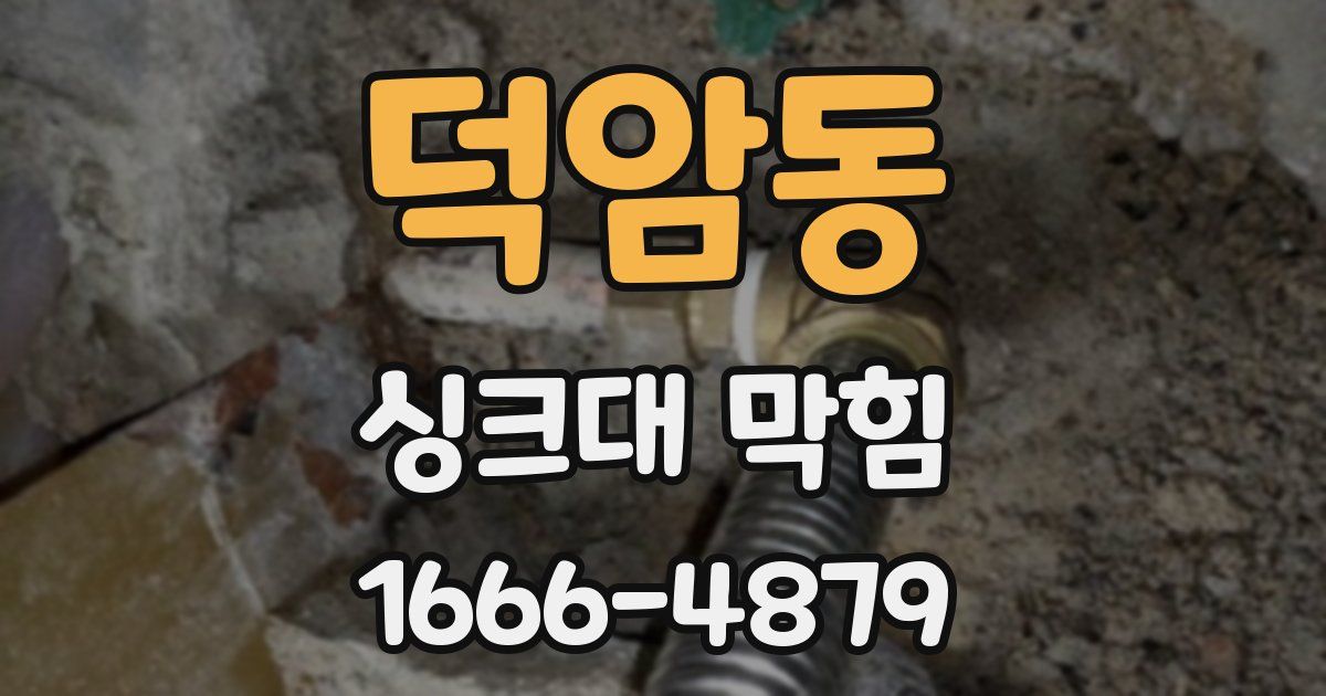 덕암동 싱크대 막힘