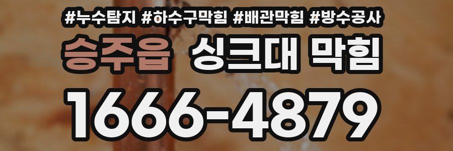 승주읍 싱크대 막힘