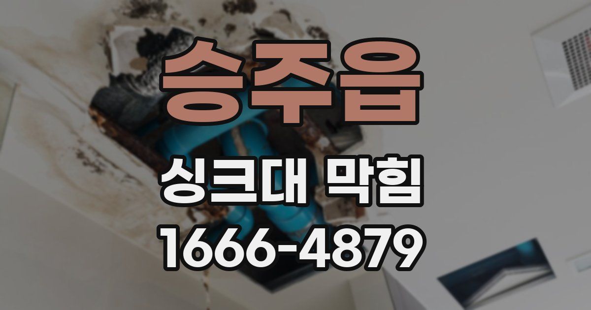 승주읍 싱크대 막힘