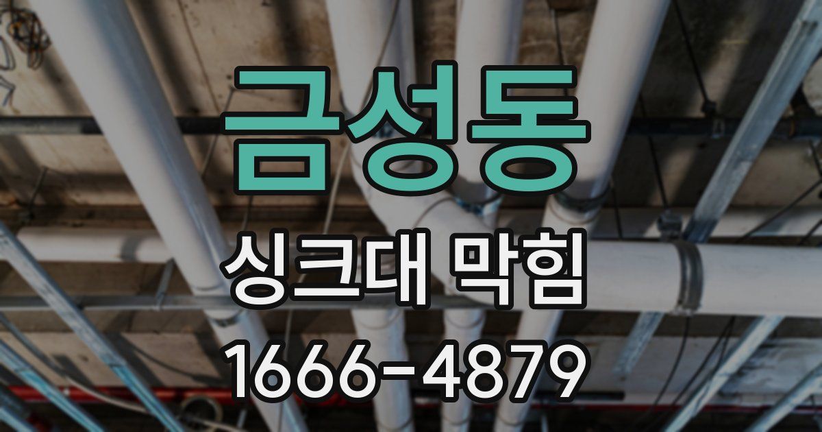 금성동 싱크대 막힘