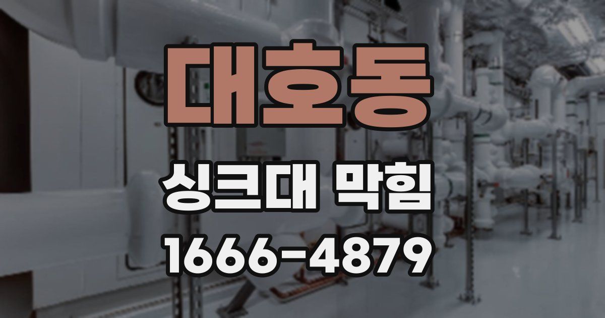 대호동 싱크대 막힘