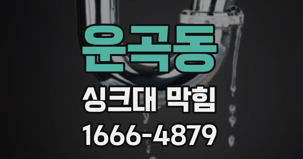 운곡동 싱크대 막힘