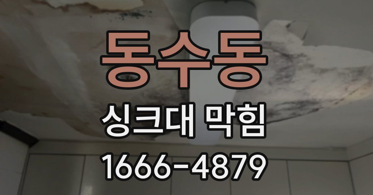 동수동 싱크대 막힘