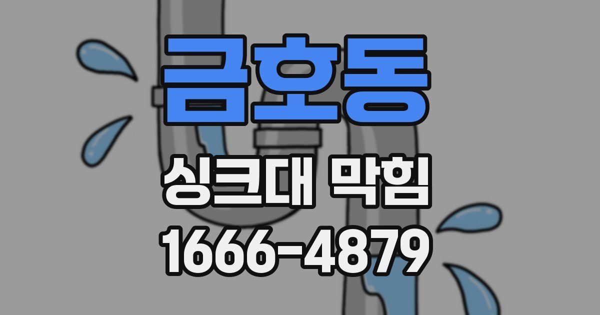 금호동 싱크대 막힘