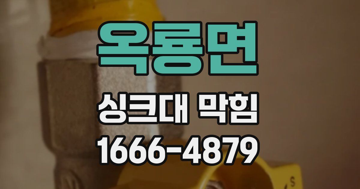 옥룡면 싱크대 막힘