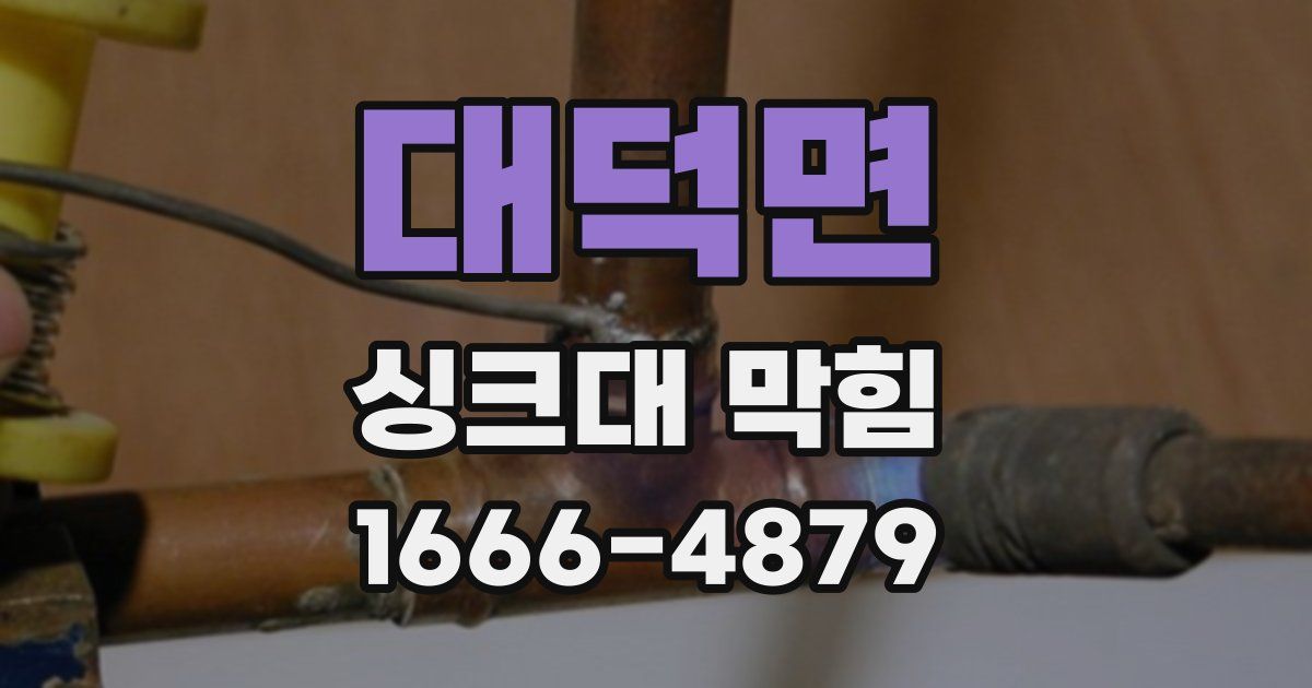 대덕면 싱크대 막힘