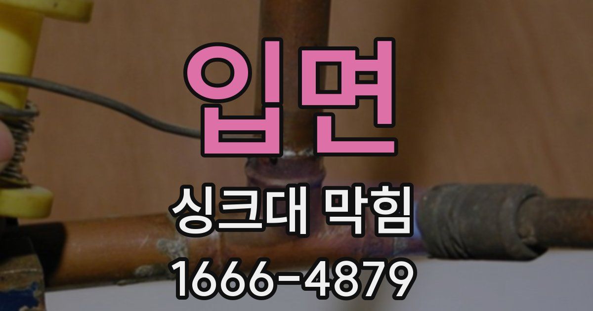 입면 싱크대 막힘