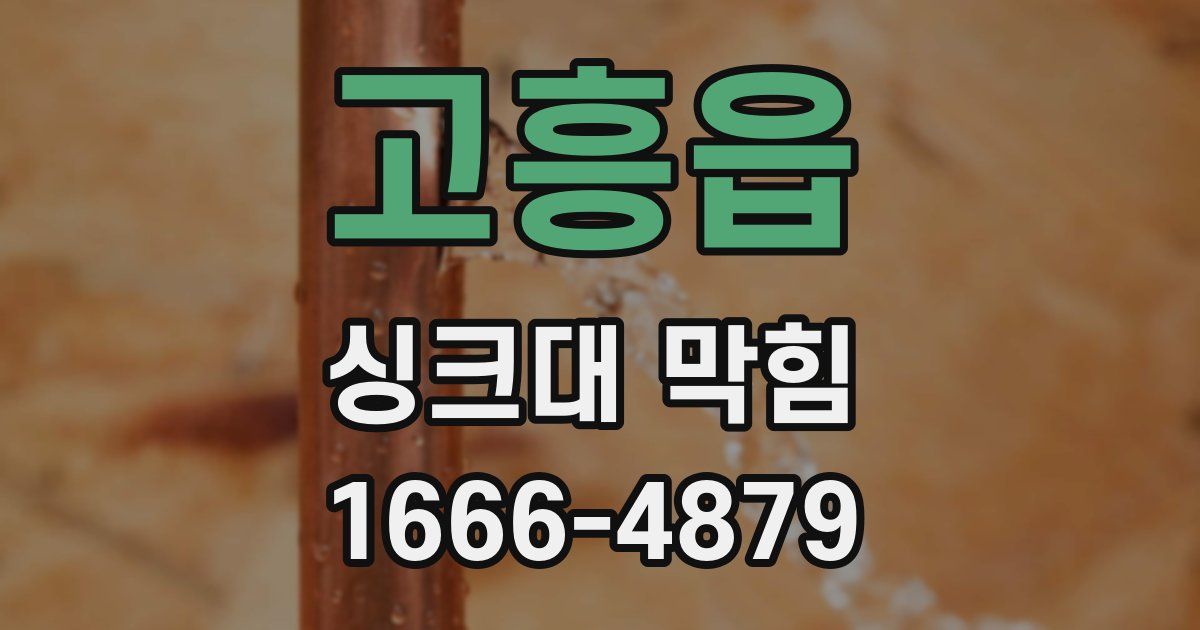 고흥읍 싱크대 막힘