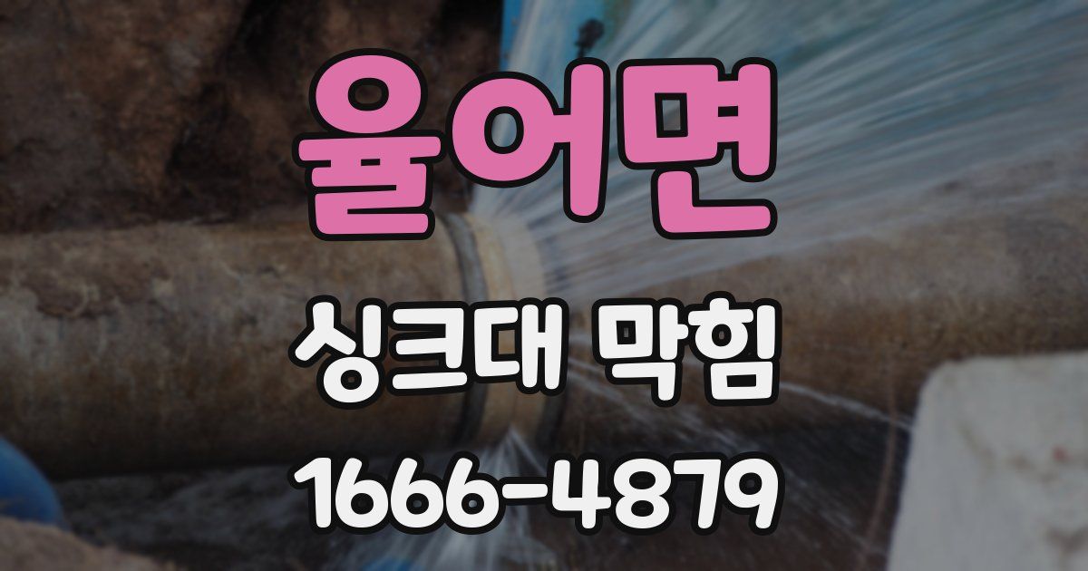 율어면 싱크대 막힘