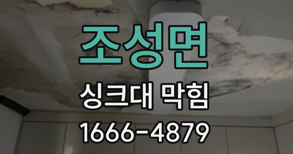 조성면 싱크대 막힘