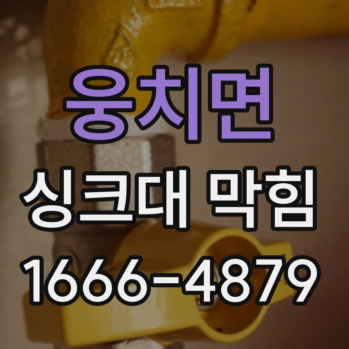 웅치면 싱크대 막힘