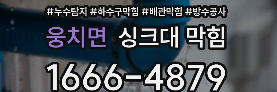 웅치면 싱크대 막힘