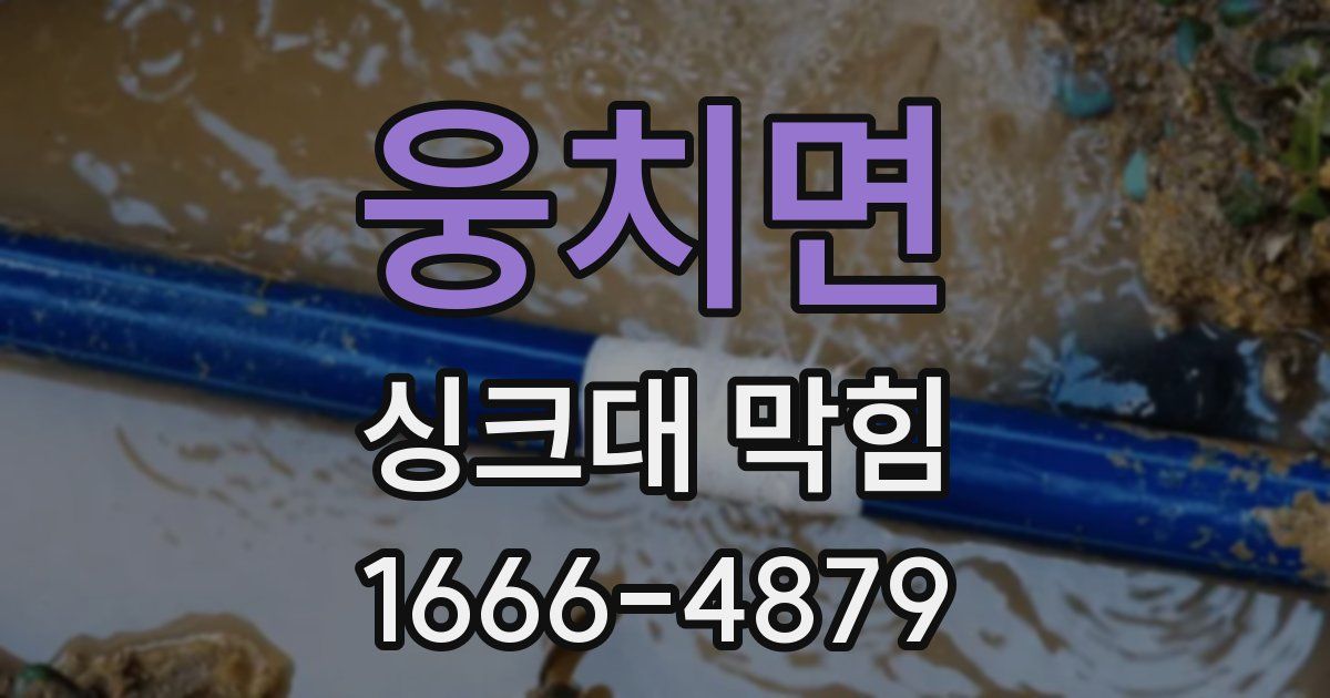 웅치면 싱크대 막힘
