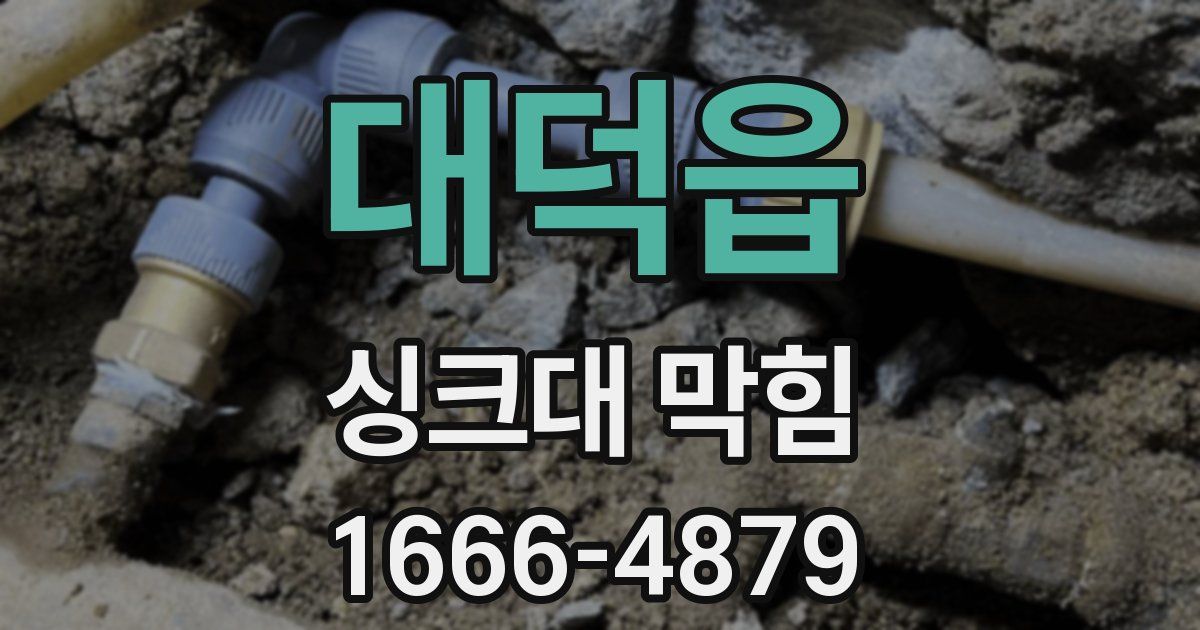 대덕읍 싱크대 막힘